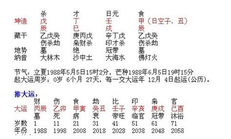 丙火2024|2024甲辰年（24.2.4—25.2.2）丙火指南